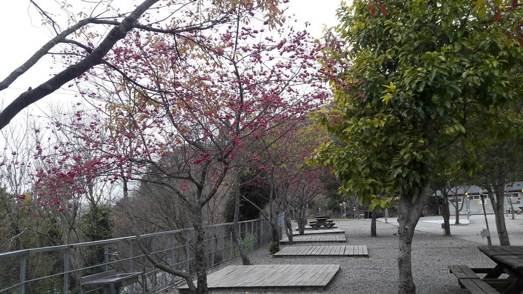 Qing Jing Xiao Taiyang Jingguan Homestay Renai Εξωτερικό φωτογραφία