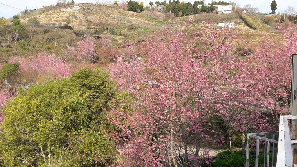Qing Jing Xiao Taiyang Jingguan Homestay Renai Εξωτερικό φωτογραφία